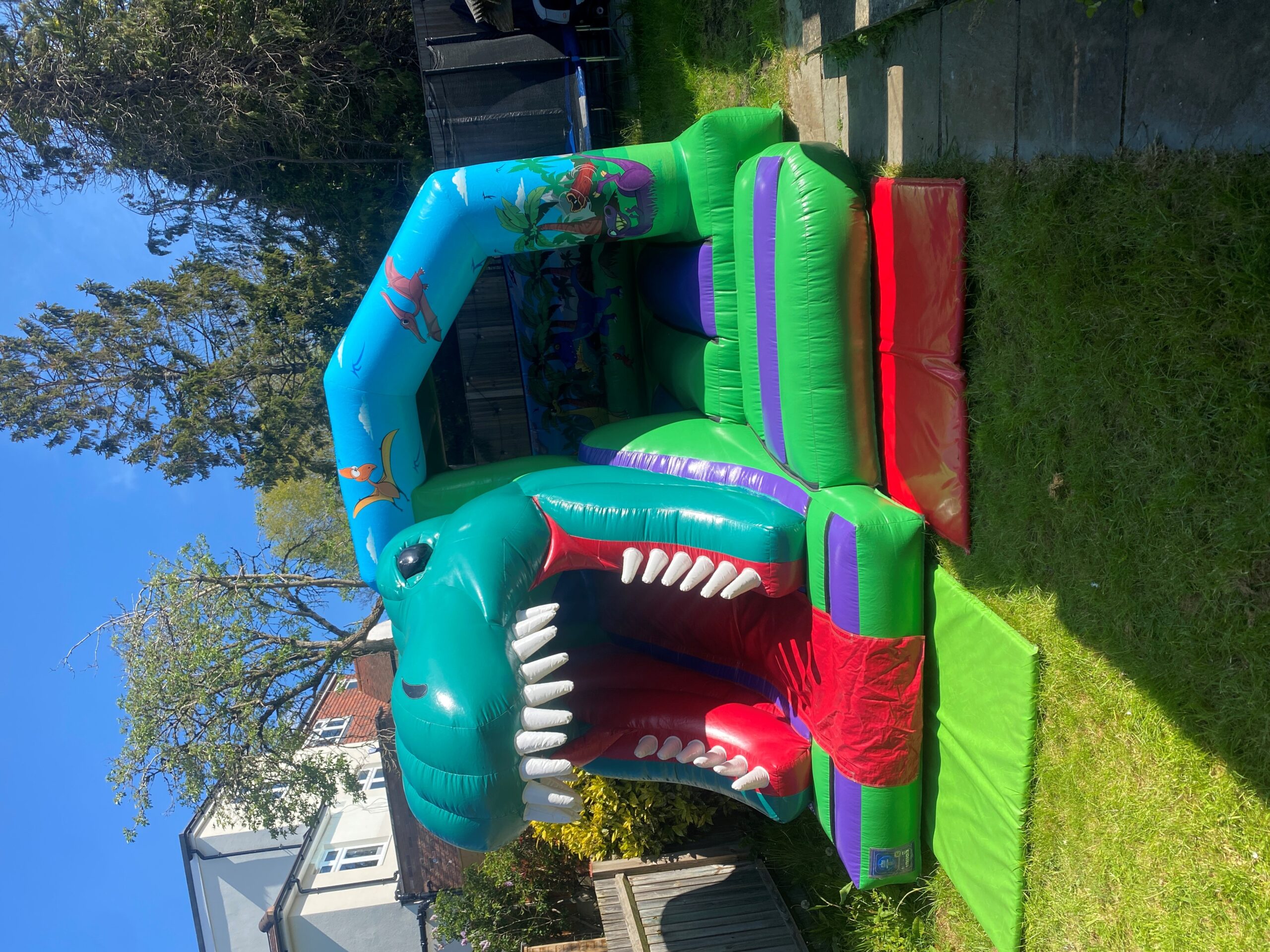 Spotlight 1: Adventures Of 3D Dinosaur Front Slide Bouncy Castle Hire