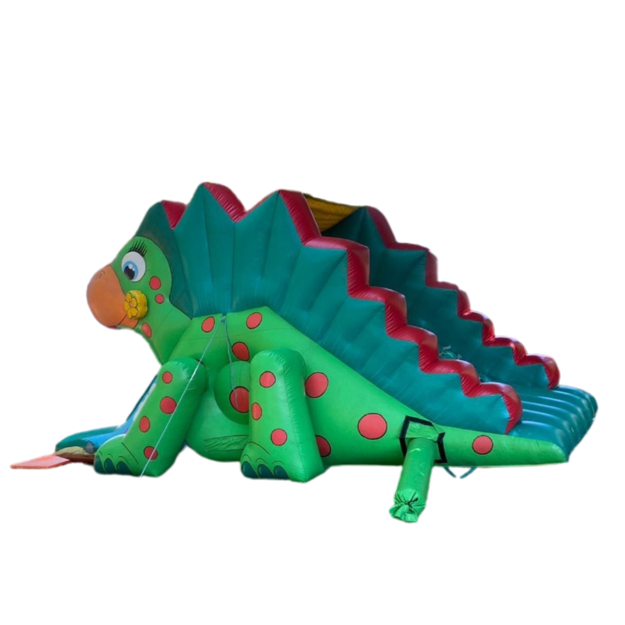 Dinosaur Slide