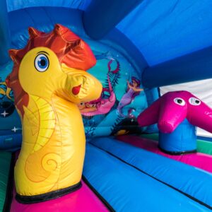 Curved Mermaid Bouncy Castle Hire