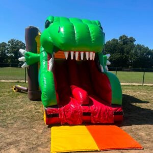3d Dino Bounce Twin Slide