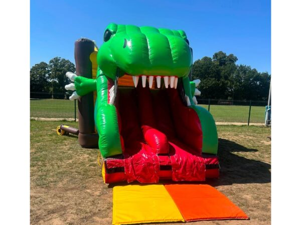 3d Dino Bounce Twin Slide