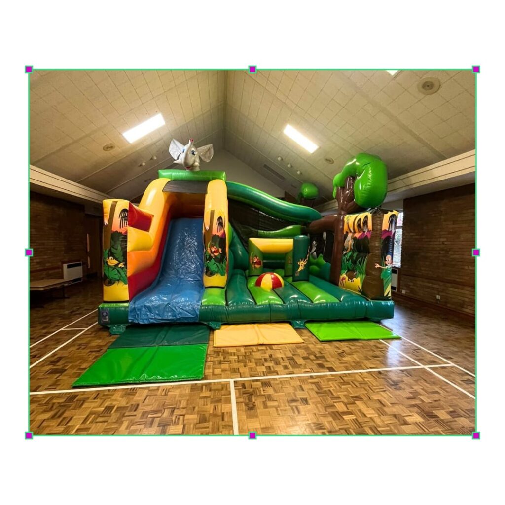 Jungle multiplayer bouncy castle hire